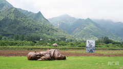 打卡美丽乡村西安鄠邑区蔡家坡村：探索文艺赋能乡村振兴的新路径